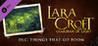 Lara Croft and the Guardian of Light: Things That Go Boom