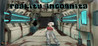 Reality Incognita Image