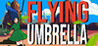 Flying Umbrella Image