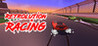 Retrolution Racing Image