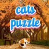 Cats Puzzle