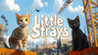 Little Strays Image