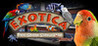 Exotica: Petshop Simulator Image