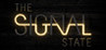 The Signal State Image