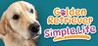 Golden Retriever Simple Life Image
