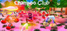 Champoo Club Image