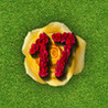 Clutter 17 Flower Power Image