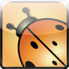 Beetle Lines Image