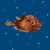 Flappy Ack-fish Image
