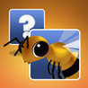 MATCH: Let Me Learn WORDS Image