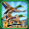 Real Bird Hunting Challenge Image