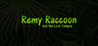 Remy Raccoon and the Lost Temple Image