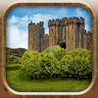 Blackthorn Castle Image