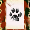 Mycatangelo Image