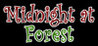 Midnight at Forest