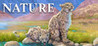 Nature (2025) Image
