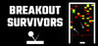 Breakout Survivors Image