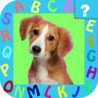 Zoo and Pet Animals Mania Pro - Kids Game - Safe App - No Adverts Image
