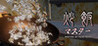 MASTER OF FRIED RICE Image