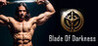 Blade Of Darkness Image