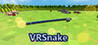 VRSnake