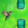 Real bird: Tap to fly! Image