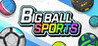 BIG BALL SPORTS Image