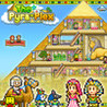 The Pyraplex Image
