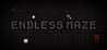 Endless Maze (2023) Image