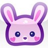 Usagi-chan Bunny Treats F Image