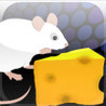 White Mouse Image
