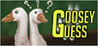 Goosey Guess Image