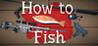 How to Fish Image