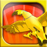 Mysterious Cities of Gold - Flight of the Condor Image