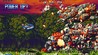 Blazing Star Image