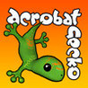 Acrobat Gecko Image