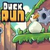 Duck Run Image