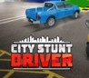 City Stunt Driver Image