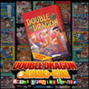 Double Dragon (NES) Image