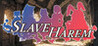 Slave Harem Image