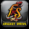 FKS Cricket Drive Image