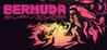 Bermuda Survivor Image