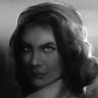 Calvino Noir Image