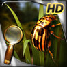 Treasure Island - The Golden Bug - Extended Edition - HD Image