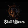 Skull & Bones Image