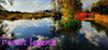 Forest legend Image