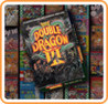 Double Dragon III: The Sacred Stones