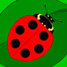 Maths Bugs Image