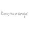 Reminiscence in the Night Image
