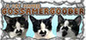 A Cat named Gossamergoober Image